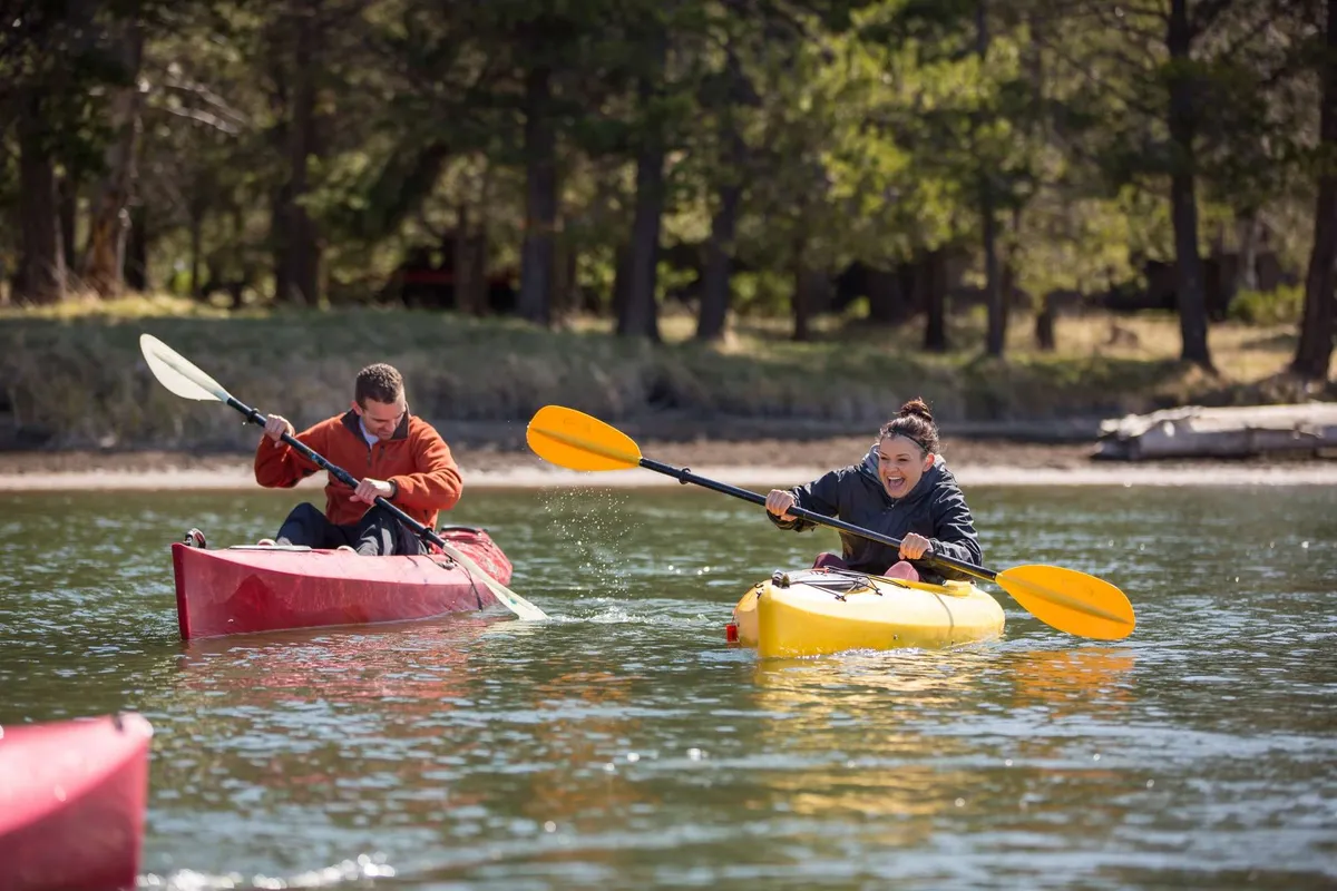 Two colorful kayaks glide across shimmering water, paddled by kayakers soaking up the natural beauty. The lively scene is set against a backdrop of peaceful riverbanks.